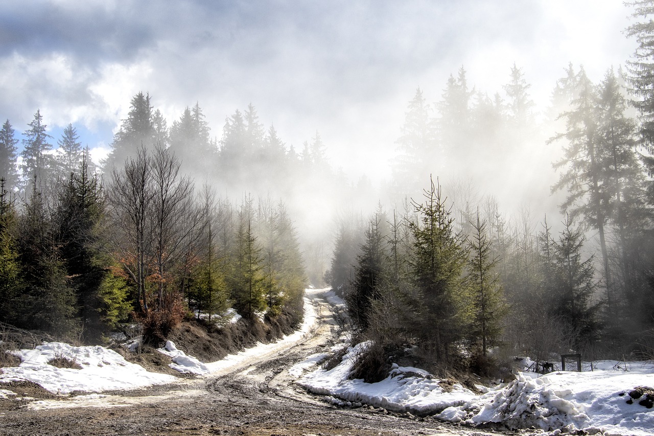 Explorând minunile naturale în jurul stațiunii Rânca: o aventură pe Transalpina